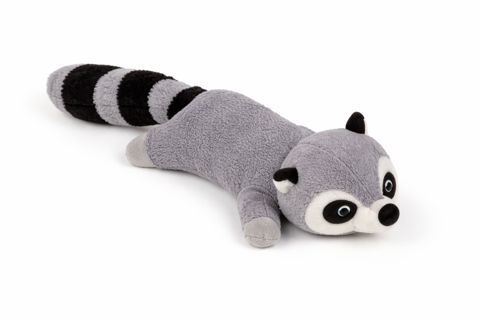 Raccoon