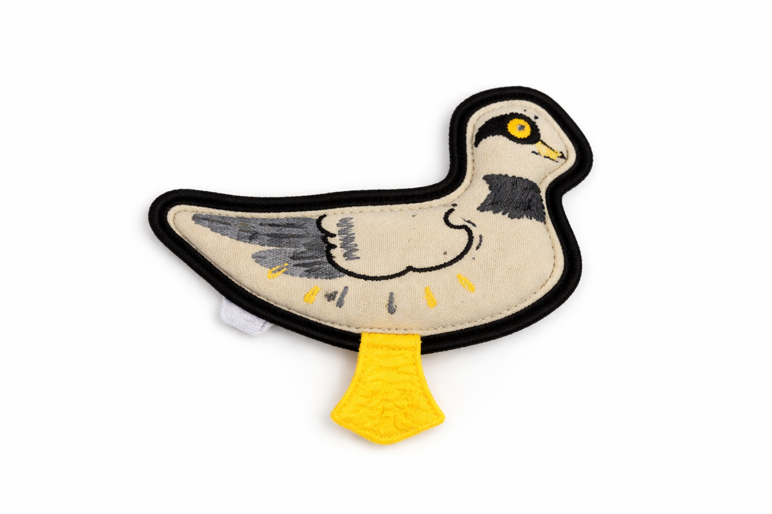 Muscovy duck